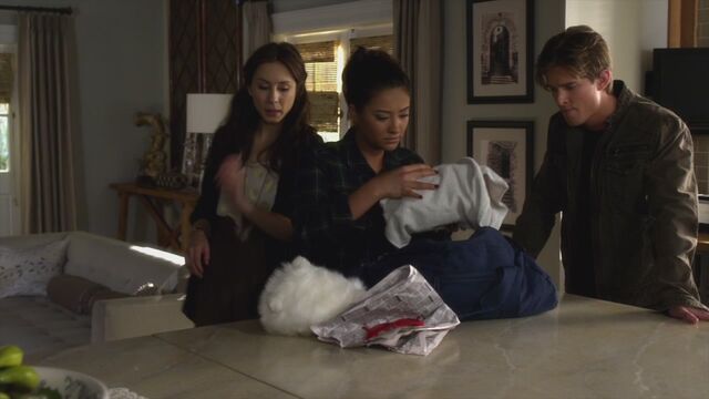 File:PLL223-00549.jpg
