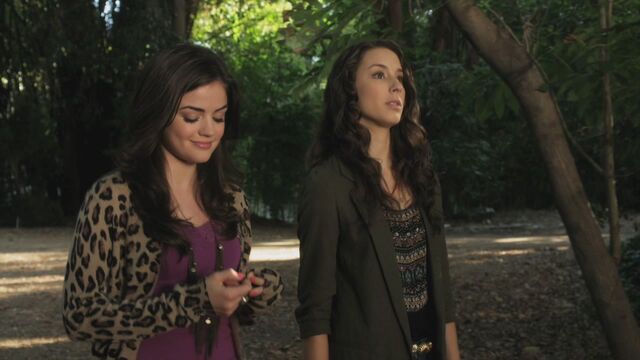 File:PLL111-1028.jpg