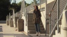 PLL115-0088.jpg