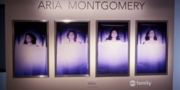 PLL608.png