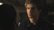 PLL214-00985.jpg