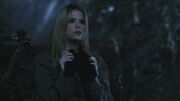 PLL2