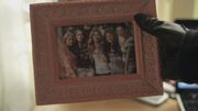 PLL201-1194
