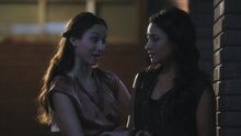 PLL114-0704.jpg