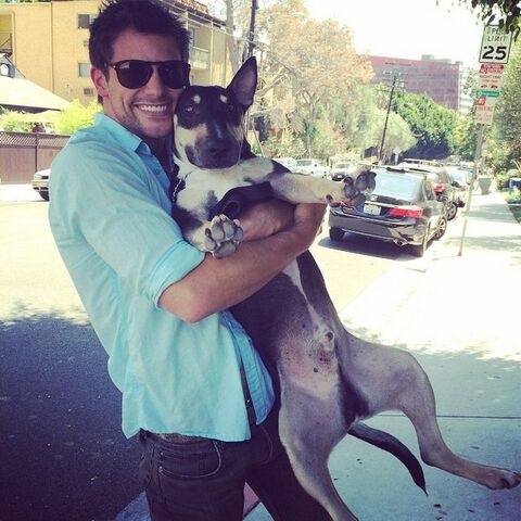 Archivo:W630 Brant-Daugherty-With-His-Dog-Knuckles-14090991011.jpg