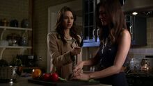 PLL304-0697.jpg