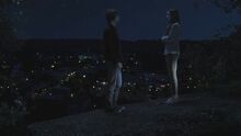 PLL117-1035.jpg