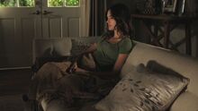 PLL205-0095.jpg