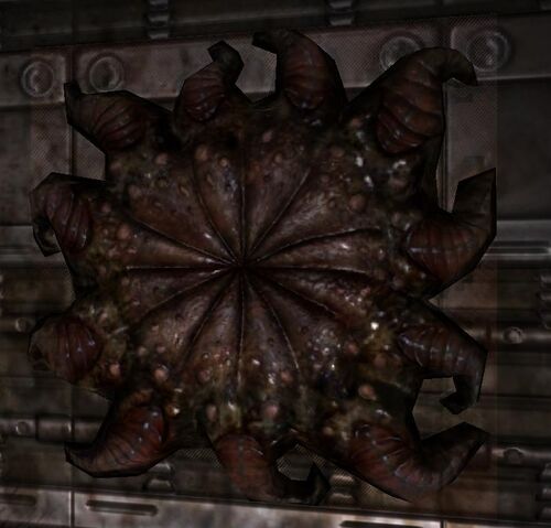 File:Egg-spawners.jpg