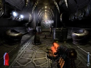 1klo6.jpg (44 KB) 1klo6