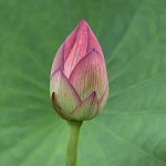 Example.jpg (5 KB) Example