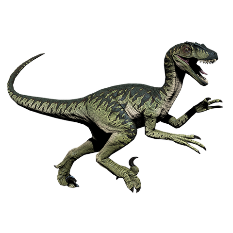 Plik:Nova.png