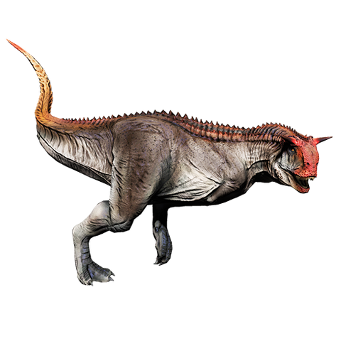 Plik:Carno.png