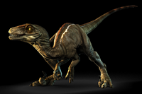 Raptor-render.png