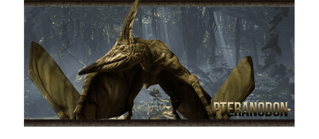 File:PteraHeader.png