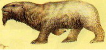 Future rat