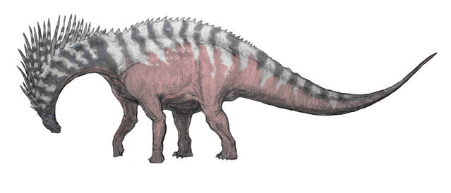 File:Amargasaurus PC.jpg