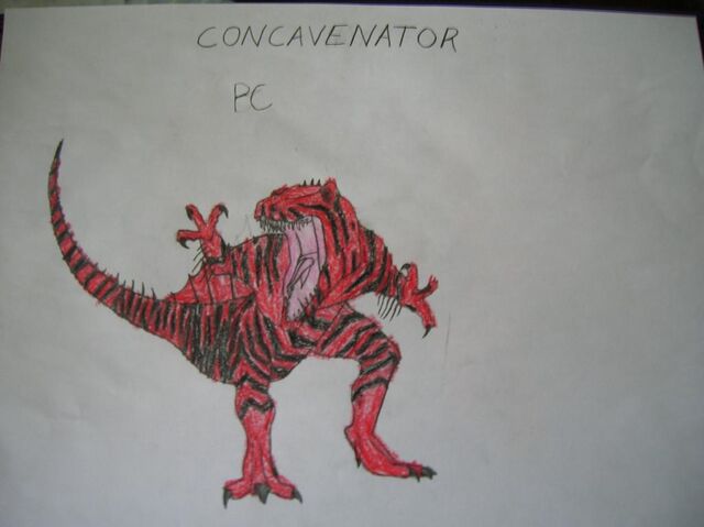 File:PrimevalContinuedConcavenator.jpeg