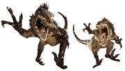 Raptors