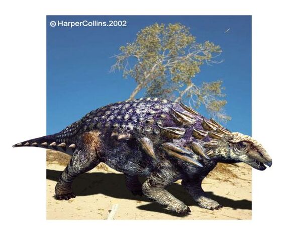 File:Edmontonia.jpg