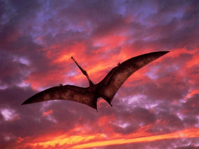 File:Ornithocheirus.jpg