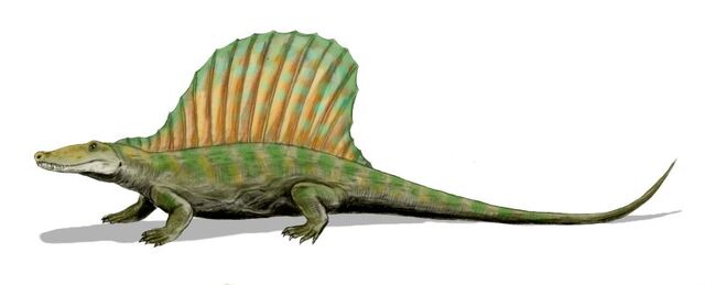 File:10. Secodontosaurus.jpg