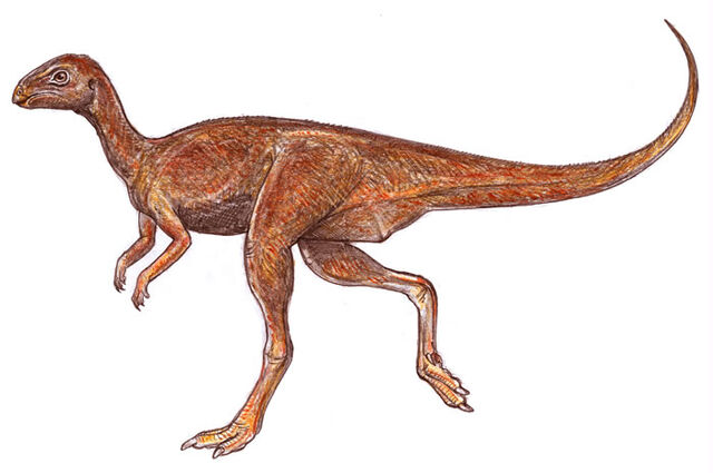 File:Gasparinisaura.jpg