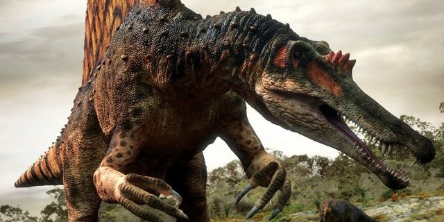 File:PDSpino.jpg