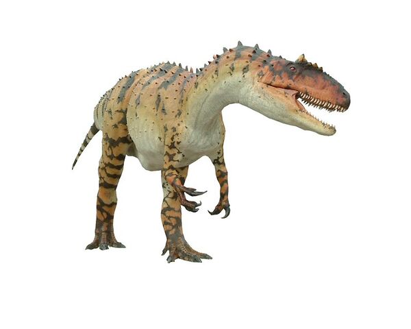 File:Allosaurus0003.jpg