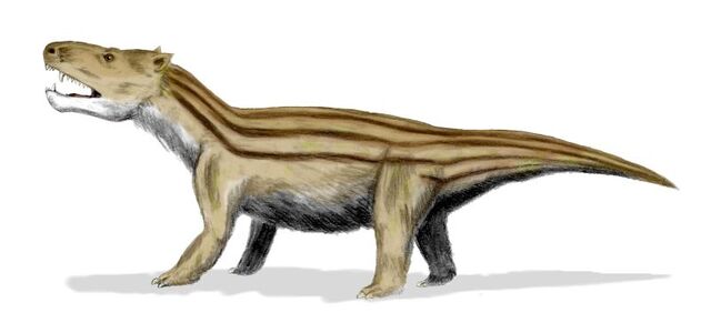 File:Cynognathus BW-1-.jpg