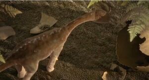 Baby Argentinosaurus