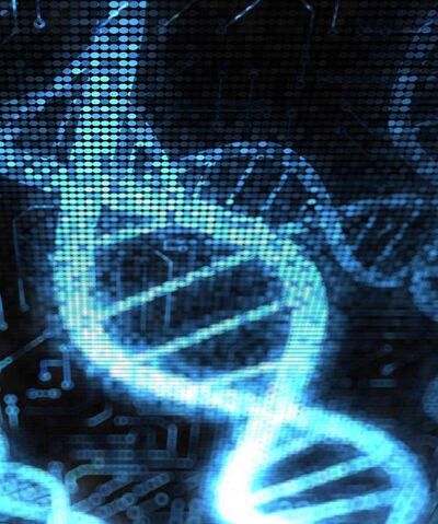 File:DNA.jpg