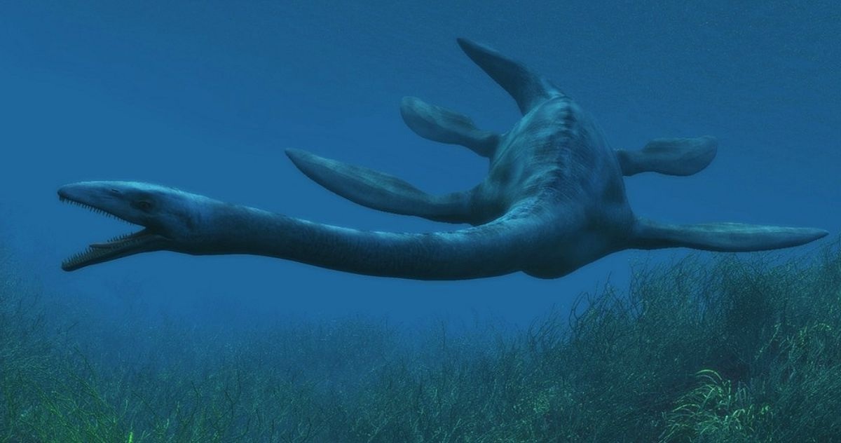 Elasmosaurus | Primeval: The reboot Wiki | FANDOM powered ...