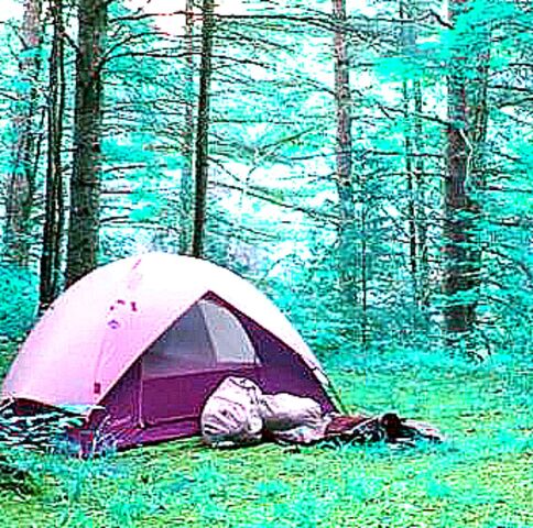 File:Tent.jpg