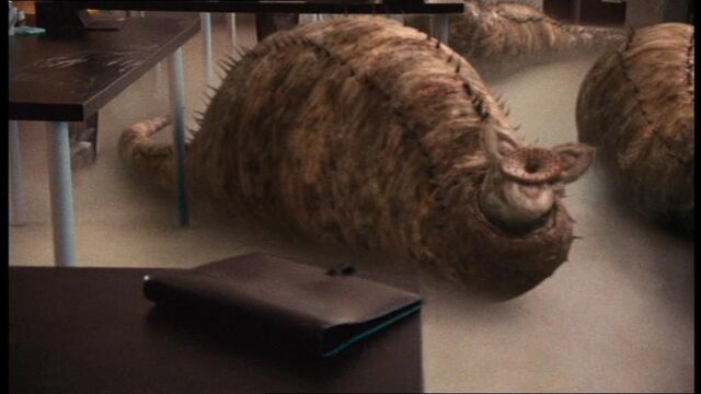 File:2x2worm3.jpg