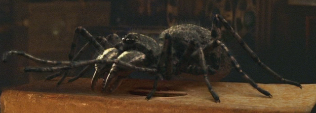 File:1x2giantArachnid.png