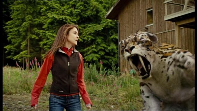 File:2x3smilodon2.jpg