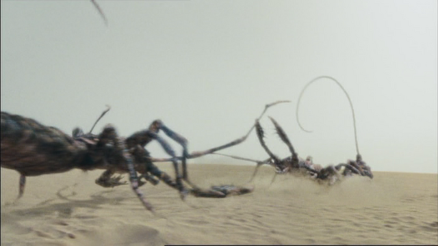 File:2x5scorpionsAboutToFight.png