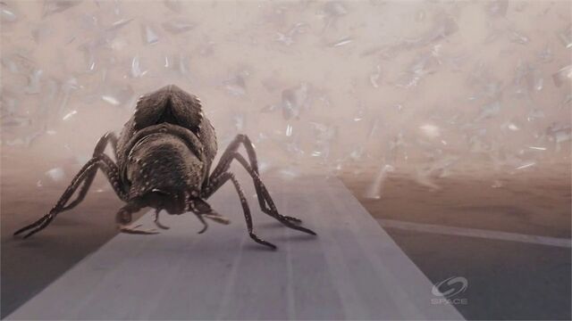File:JurassicBeetleQueen.jpg