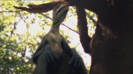 1x5 AnurognathusInTree