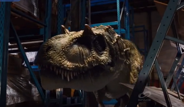 File:Albertosaurus head.png