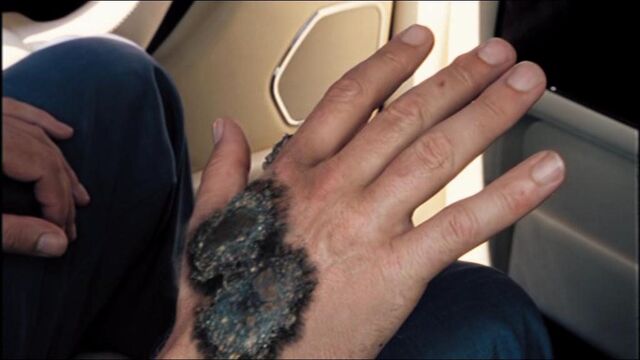 File:3x5fungus1.jpg