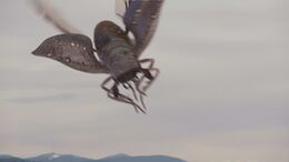 NW1x3 JurassicBeetleQueenFlying