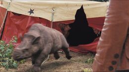 3x9 Embolotherium 82
