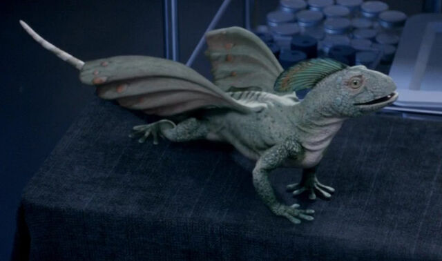 File:4x3rex.jpg