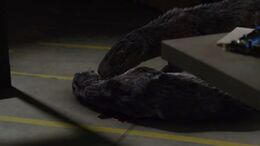 Undone-creature-1