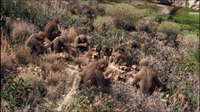 File:Hominid Group.jpg
