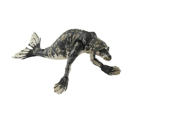File:Mer Figure.jpg