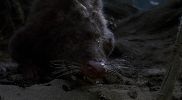 File:ROUS.png
