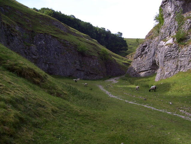 File:1960014 a5c1b34d.jpg
